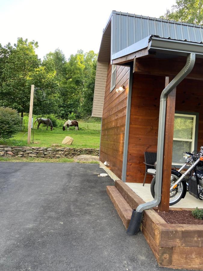Dragon'S Nest Cabin With Mountain Views Robbinsville Extérieur photo